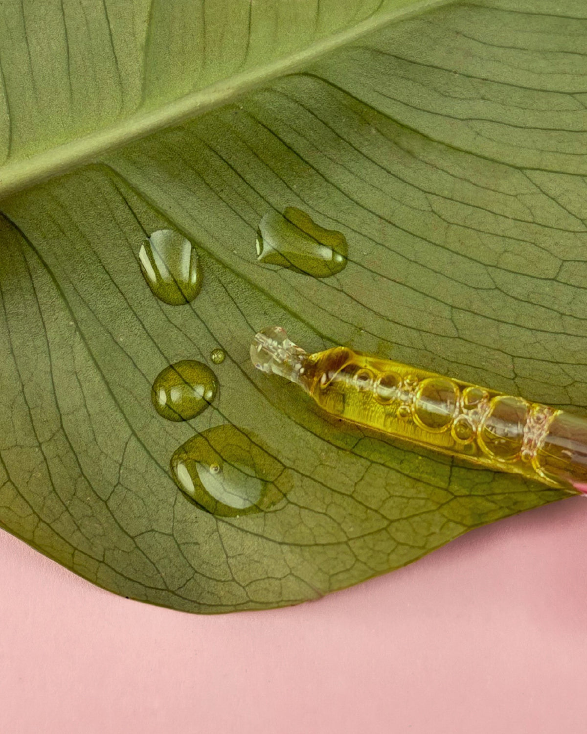 German CBD Oil 10%