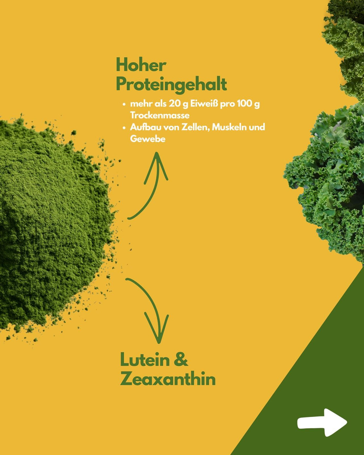 German kale