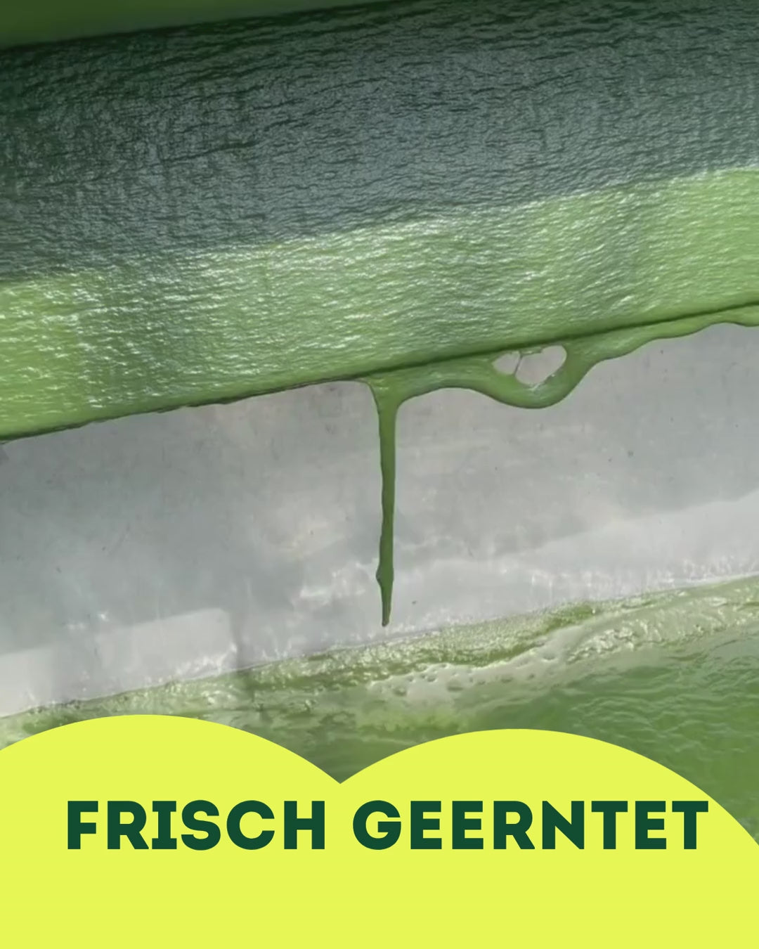 German Organic Spirulina